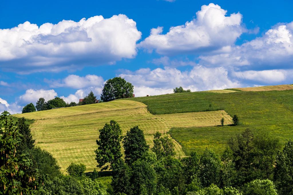Chata Na Brzysku Pod Bialka Lesnica  Luaran gambar